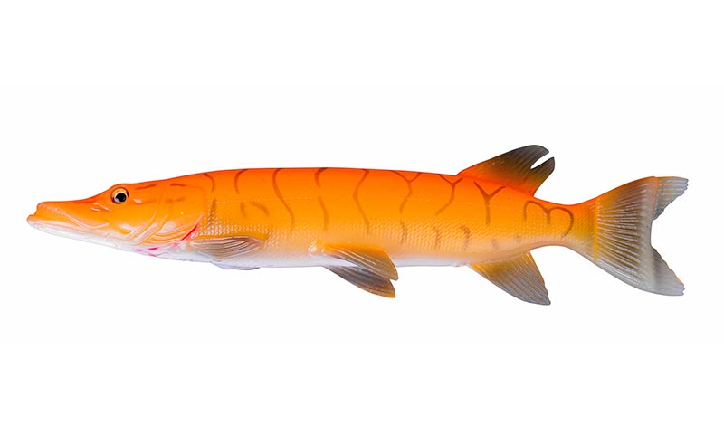 Poissons S-G 3D Thru Pike 30cm 210g