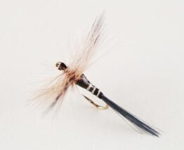 810H16.jpg