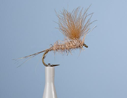 Mouches De Charettes JMC 104 H16