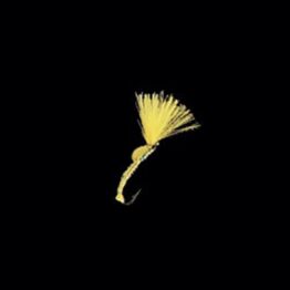 MP47H14.jpg MP47H14.jpg