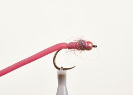WORM1H10.jpg
