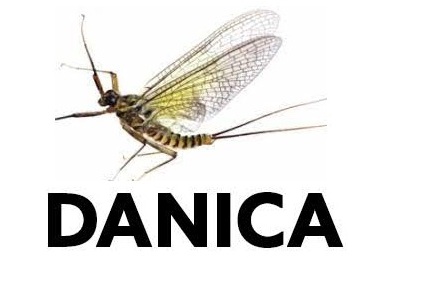 Danica