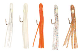 525554 H6octopus_hegene 525554 H6octopus_hegene
