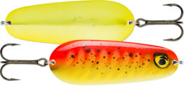 NAUVO_NAV19_GFR_RA5822058 NAUVO_NAV19_GFR_RA5822058