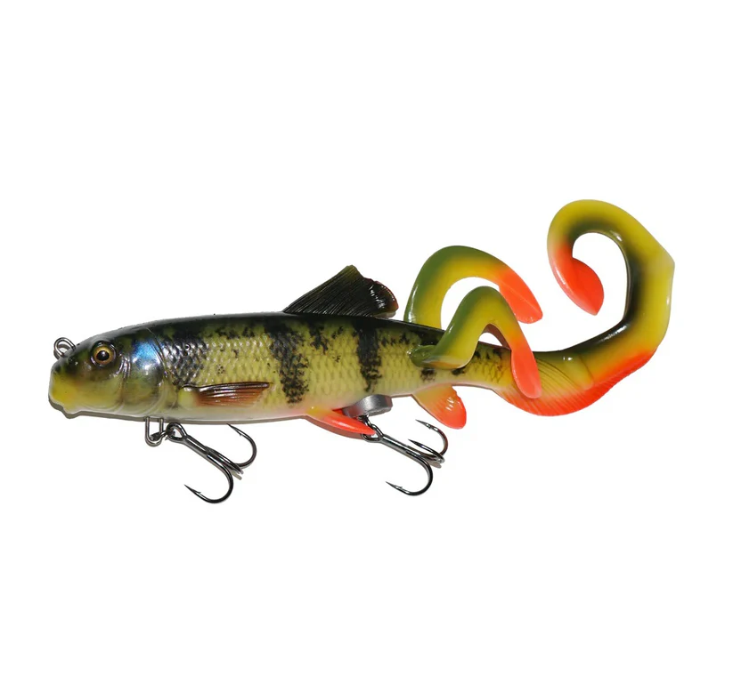 SuckerXTailPerch SuckerXTailPerch